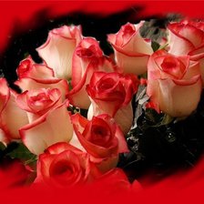 Cross stitch pattern: #35969