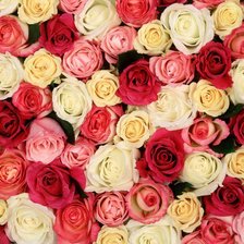 Cross stitch pattern: #35986