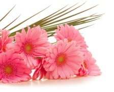 Cross stitch pattern: #35999