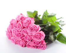 Cross stitch pattern: #36012