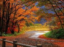 Cross stitch pattern: #36761