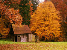 Cross stitch pattern: #36778