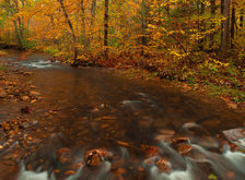 Cross stitch pattern: #36794