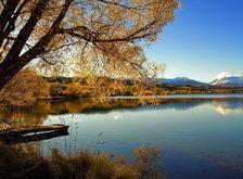 Cross stitch pattern: #36811