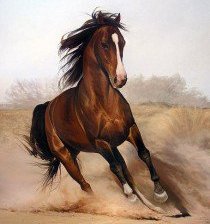 Cross stitch pattern: #38864