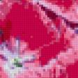 Preview of cross stitch pattern: #39070