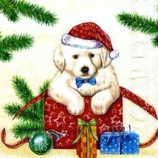 Cross stitch pattern: #41682