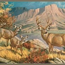 Cross stitch pattern: #41726