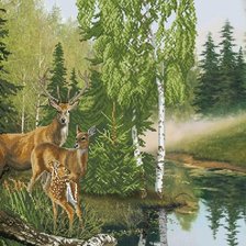 Cross stitch pattern: #41815