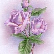 Cross stitch pattern: #43065