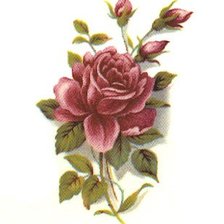 Cross stitch pattern: #43070