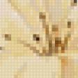 Preview of cross stitch pattern: #43084