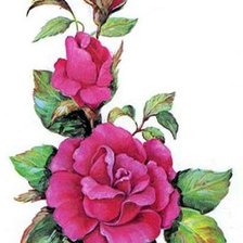 Cross stitch pattern: #43088