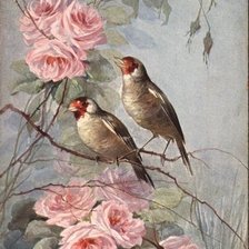 Cross stitch pattern: #43089