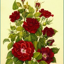 Cross stitch pattern: #43090