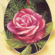 Cross stitch pattern: #43096