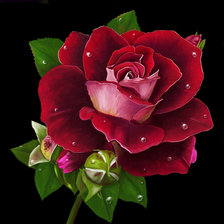 Cross stitch pattern: #43119