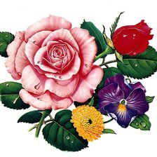 Cross stitch pattern: #43123