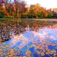 Cross stitch pattern: #43155