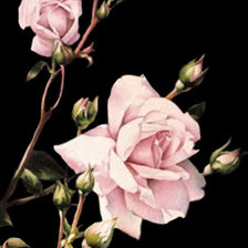 Cross stitch pattern: #43287