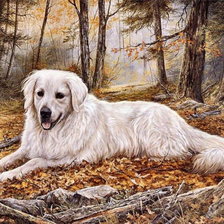 Cross stitch pattern: #45326