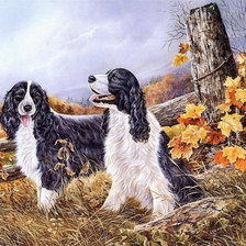 Cross stitch pattern: #45336