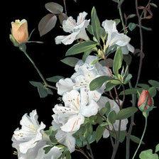 Cross stitch pattern: #45878