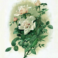 Cross stitch pattern: #45881