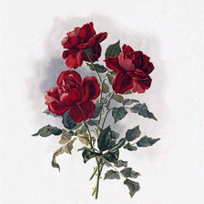 Cross stitch pattern: #45884