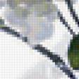 Preview of cross stitch pattern: #45900