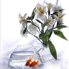 Cross stitch pattern: #45900