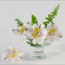 Cross stitch pattern: #45902