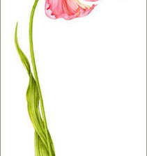 Cross stitch pattern: #45907