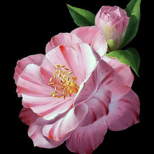 Cross stitch pattern: #45908