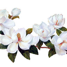 Cross stitch pattern: #45922