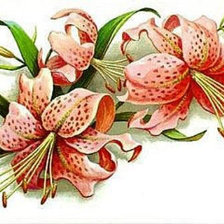 Cross stitch pattern: #45926