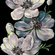 Cross stitch pattern: #45927