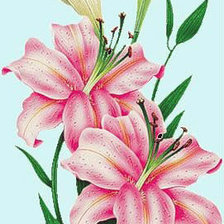 Cross stitch pattern: #45947