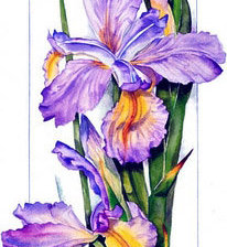 Cross stitch pattern: #45956