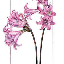 Cross stitch pattern: #45958