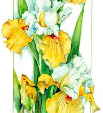 Cross stitch pattern: #45960