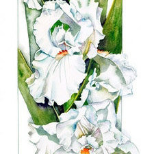 Cross stitch pattern: #45962