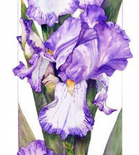 Cross stitch pattern: #45964