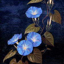 Cross stitch pattern: #45969