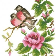 Cross stitch pattern: #46264