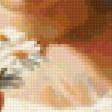 Preview of cross stitch pattern: #46908