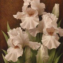 Cross stitch pattern: #47674