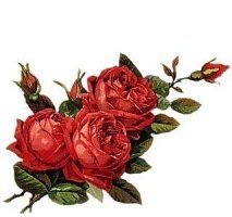 Cross stitch pattern: #47775