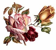 Cross stitch pattern: #47779