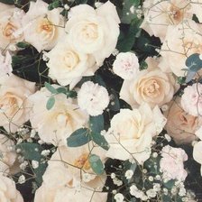Cross stitch pattern: #49531